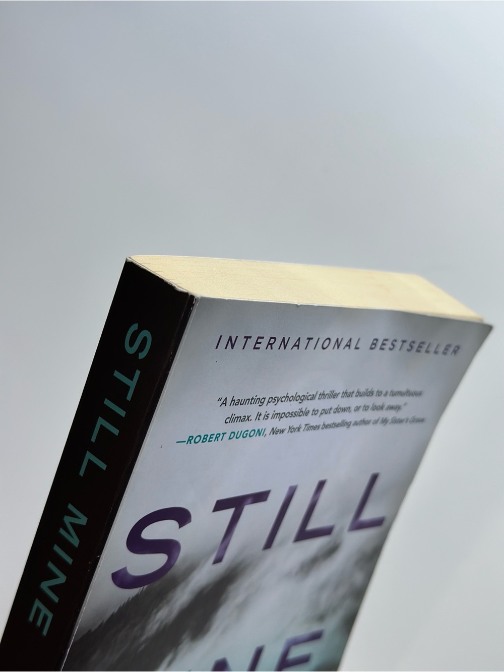 Still Mine: A Novel by Amy Stuart | Fiction, Thriller | Paperback Book - Picture 6 of 9